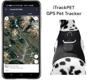 Dog Collar Mount Tracker w/ Wireless Realtime Pet GPS System Phone App Size:M